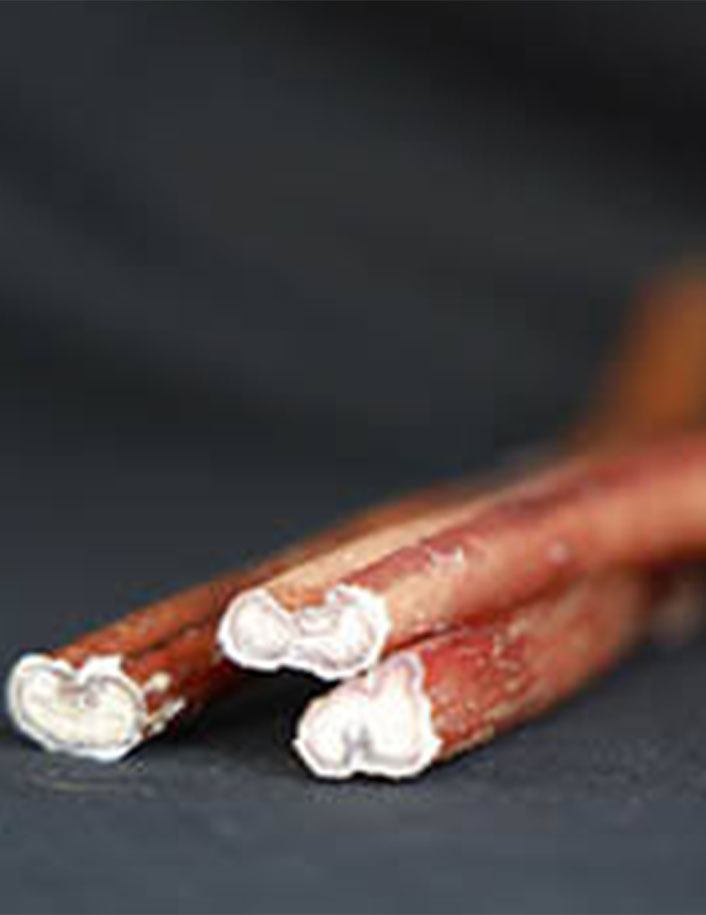 Bully Stick