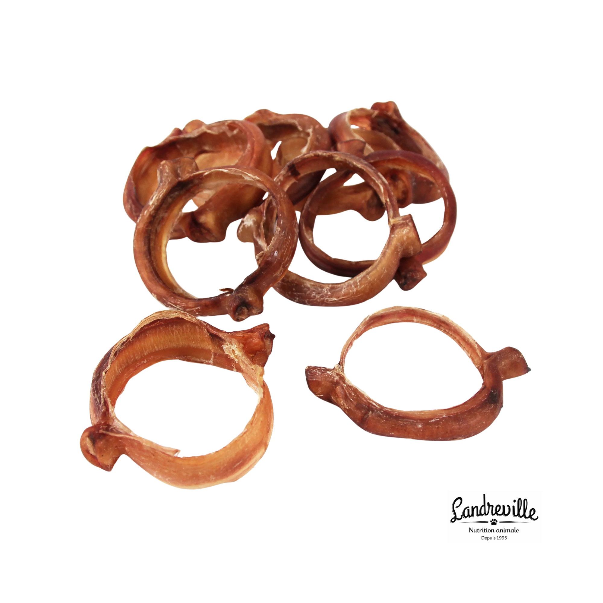 Bully Ring